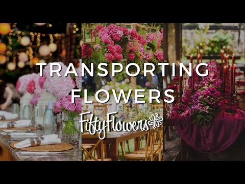 Symbolic Power Of Flowers In Interiors For Designers